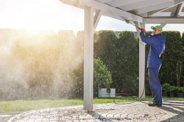 Best Gutter Cleaning  in Ogden, UT